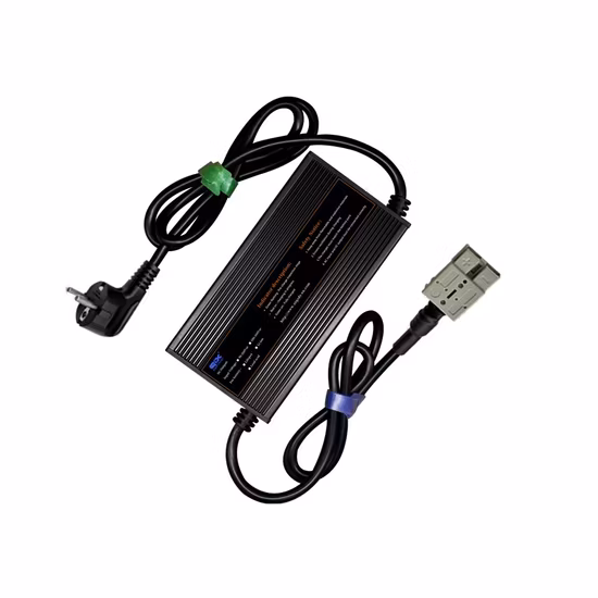 Lifep04 バッテリー 48V 電動自転車リチウム電池ゴルフカートバッテリー LiFePO4 電圧